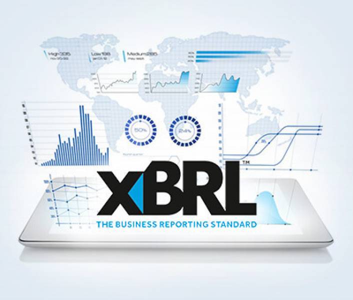 XBRL Services